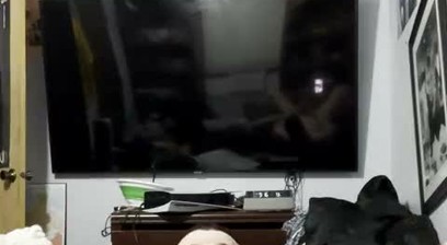 Piss loving man plays with his all his holes