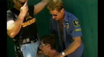 Wild cops 3