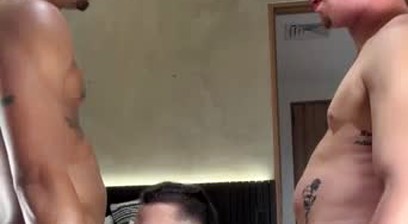Video 523