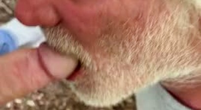 Prickle Neal sucking dick