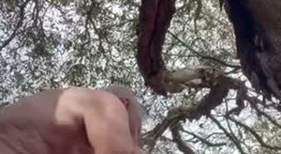 Ben Taylor Fagg0t Chub Bear Outdoor Watersports and Fisting with an Old Man