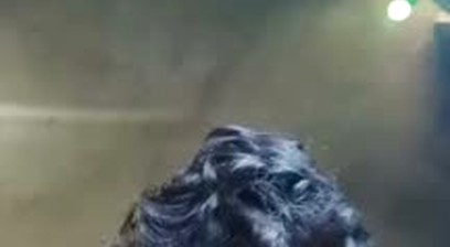 Desi Indian teen cum