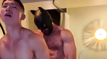 Bear fucks asian