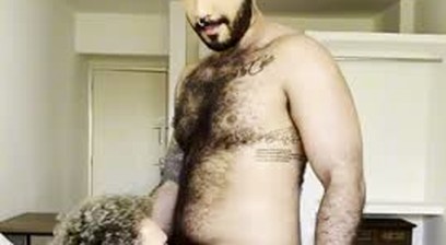 tonhão fodas, pedrin zedan (sharkboydot)