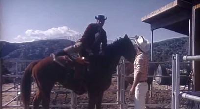 the Bonanza-Colt