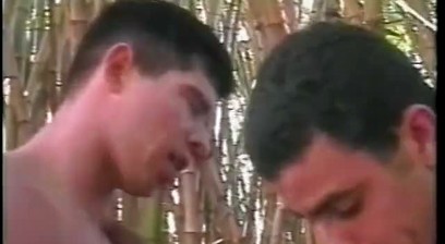 Horny Brazilian twink takes it up his ass and gives head