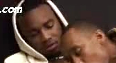 Phoenix & Pipe (TAGGAZ)