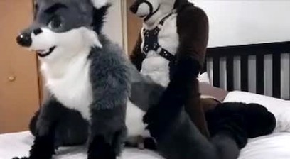 Gay Furry Fuck