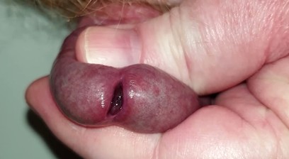 small penis orgasms