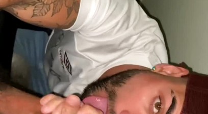 leofb_01 gatoviralata