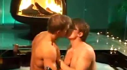 Veterinário e Cliente.