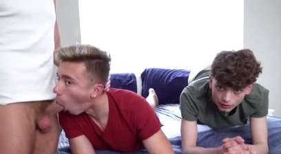 Gamer Cuties aviable for Daddy's Lustful Pleasures