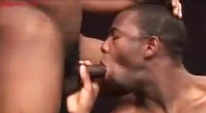 Ty & Intrigue (TAGGAZ)