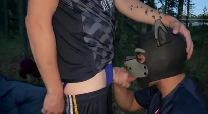 Pups Fucking in the Woods