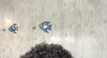 chipotlebag bbc webcam 11