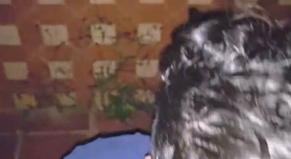 CRUISING, I FUCKED A GRINDR BITCH IN AN ABANDONED HOUSE IN THE WOODS