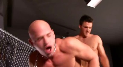 Sweet T0rture - full