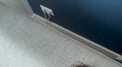 Griffin Barrows sucks Adam Alberto off