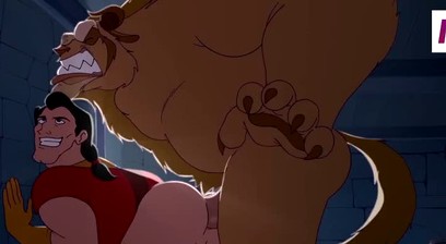 Compilation of Animation D