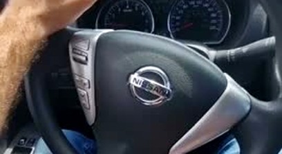executive having sex in the car