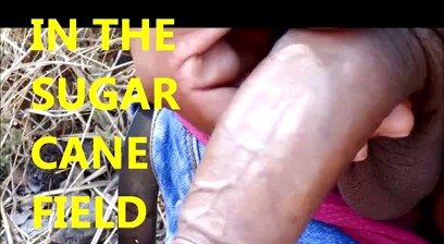 BIG DICK TRANS FUCKS ZIBMUSSER IN SUGAR CANE FIELD